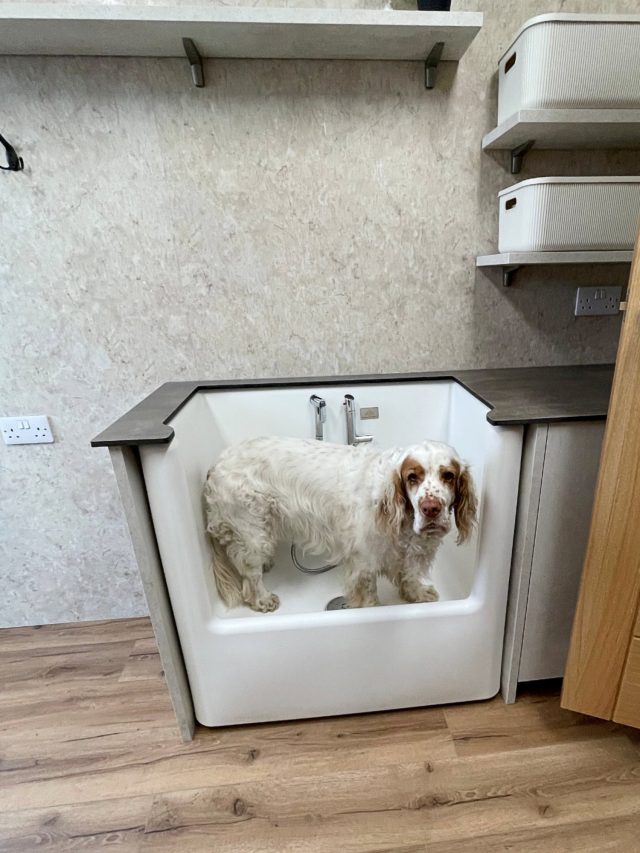 Dog shower 3